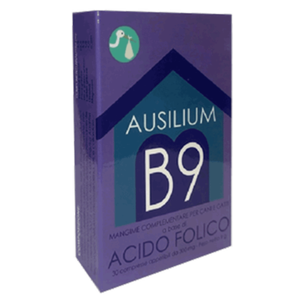 ausilium-b-9