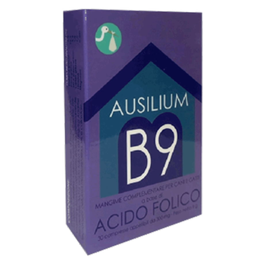 ausilium-b-9