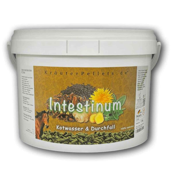 Intestinum-Kräuterpellets