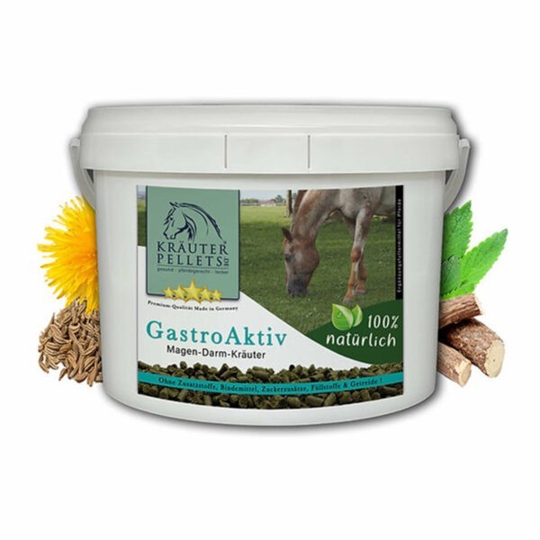 gastroaktiv-1