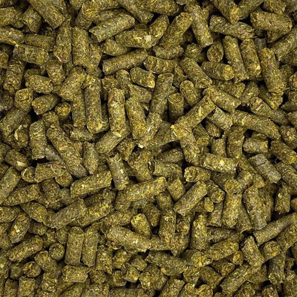 gastroaktiv-3