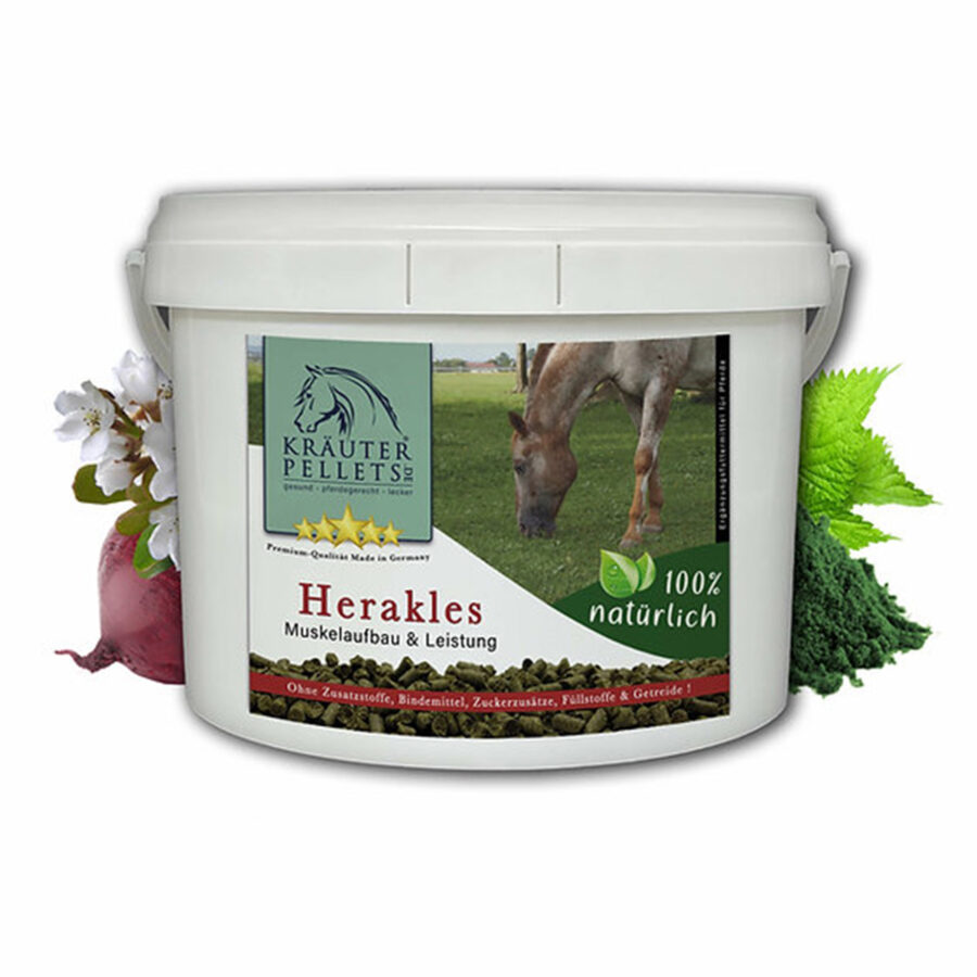 herakles-1