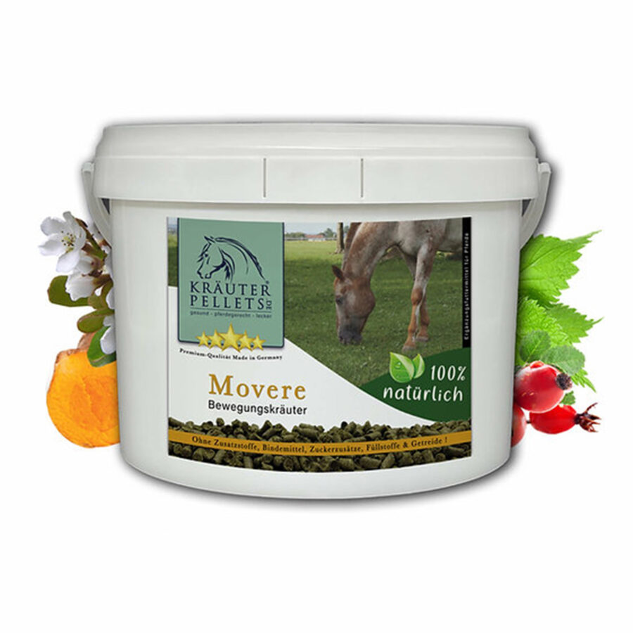 movere-1