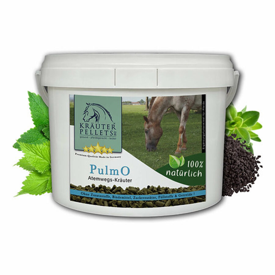 pulmO-1