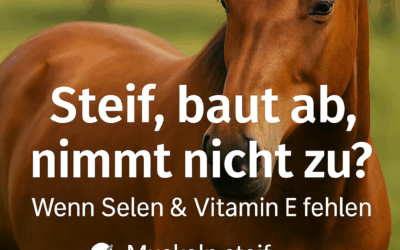 Selen- & Vitamin-E-Mangel beim Pferd