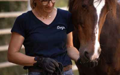 Verhaltensänderungen beim Pferd richtig verstehen – mögliche körperliche Ursachen erkennen