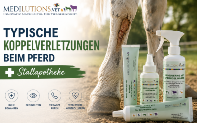 Koppelverletzungen beim Pferd: Erste Hilfe richtig anwenden